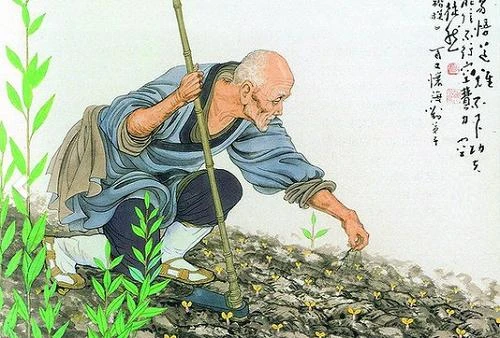 20 điều Yếu Tắc Tòng Lâm của Thiền Sư Bách Trượng Hoài Hải: Kim chỉ nam cho Tăng Ni mọi thời đại.